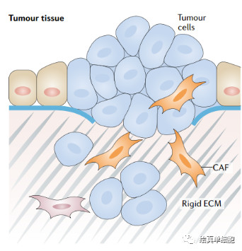  单细胞测序研究癌症之肿瘤微环境研究
