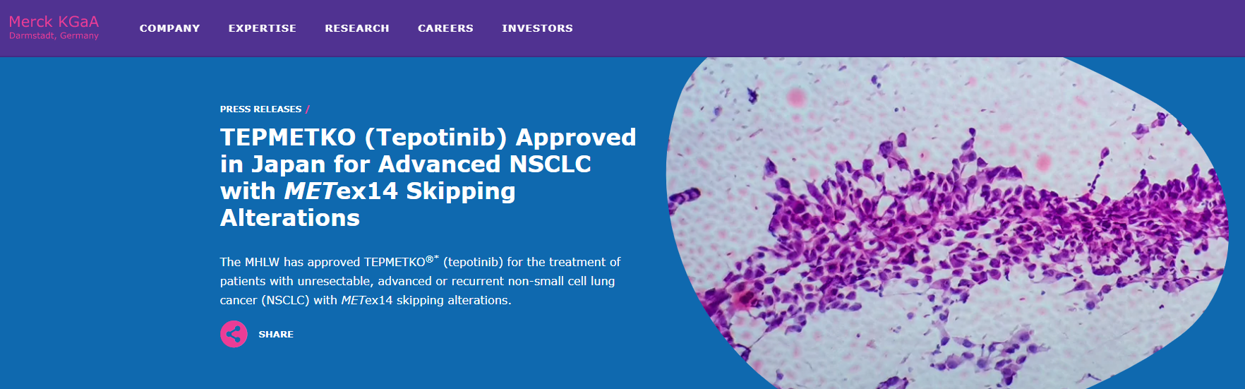 Tepotinib在日本获批用于治疗MET阳性NSCLC患者 